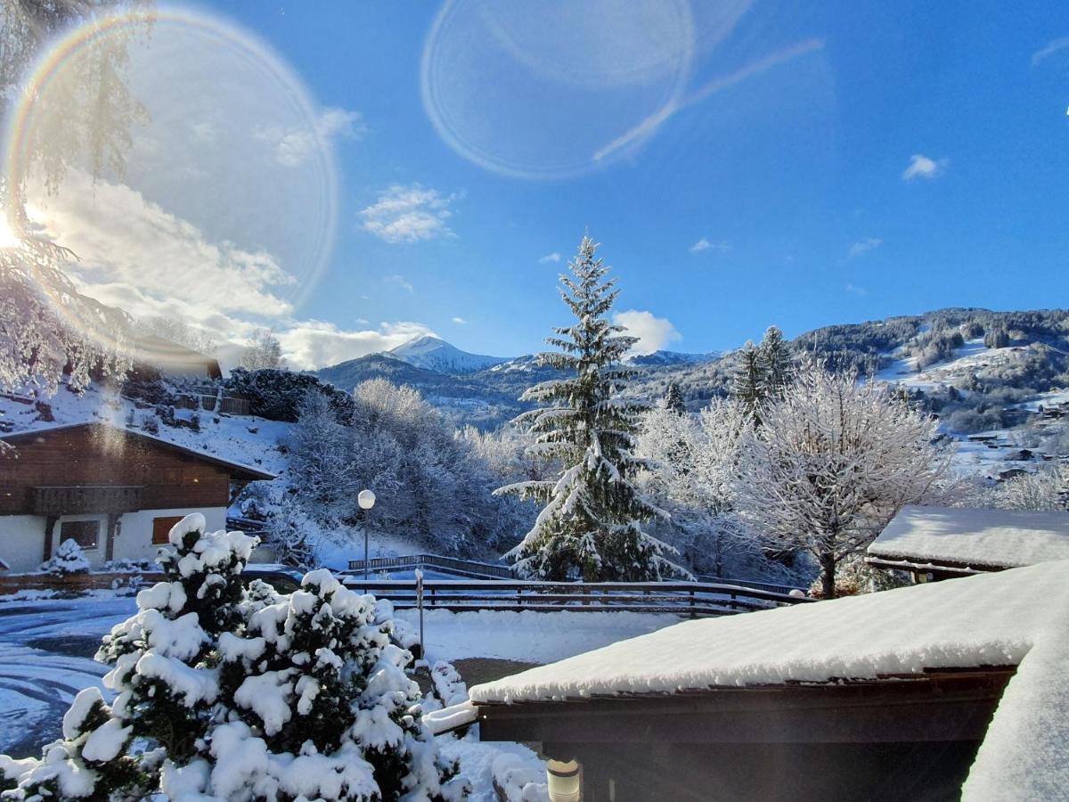 Castel De Roches Daire Saint-Gervais-les-Bains Dış mekan fotoğraf